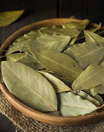 Bay Leaf