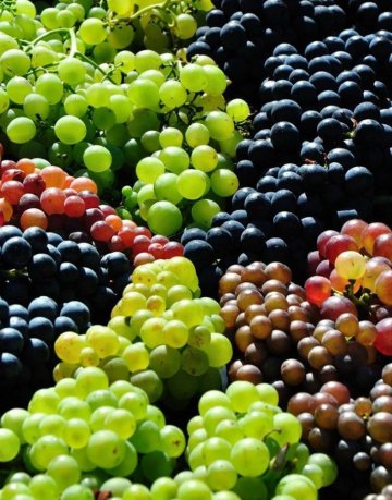Grapes