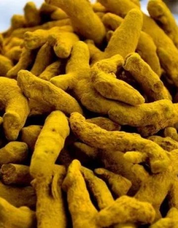 Turmeric Finger